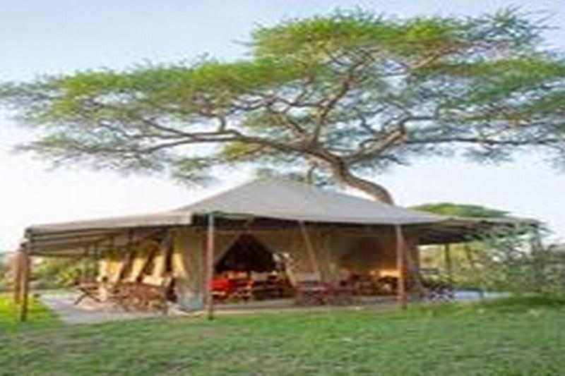 Kisura Serengeti Camp Hotell Soronera Eksteriør bilde