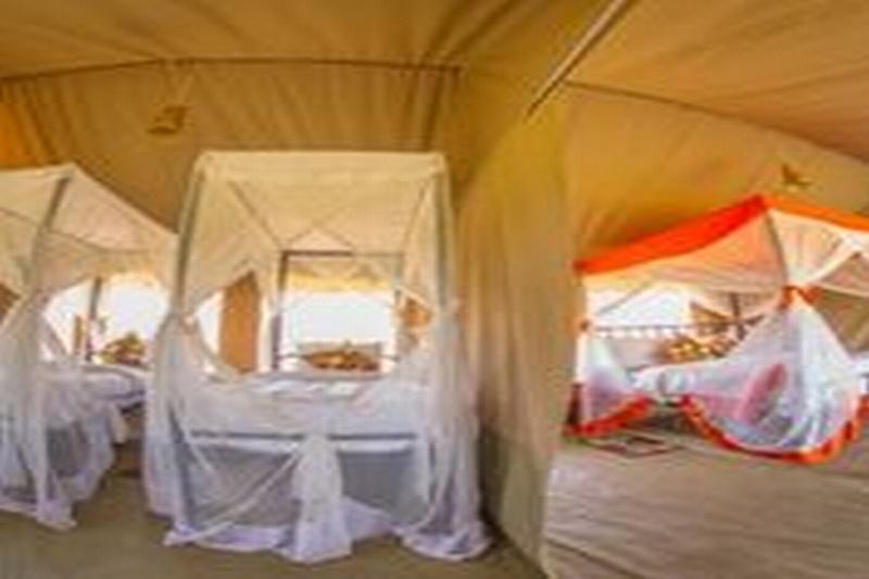 Kisura Serengeti Camp Hotell Soronera Eksteriør bilde