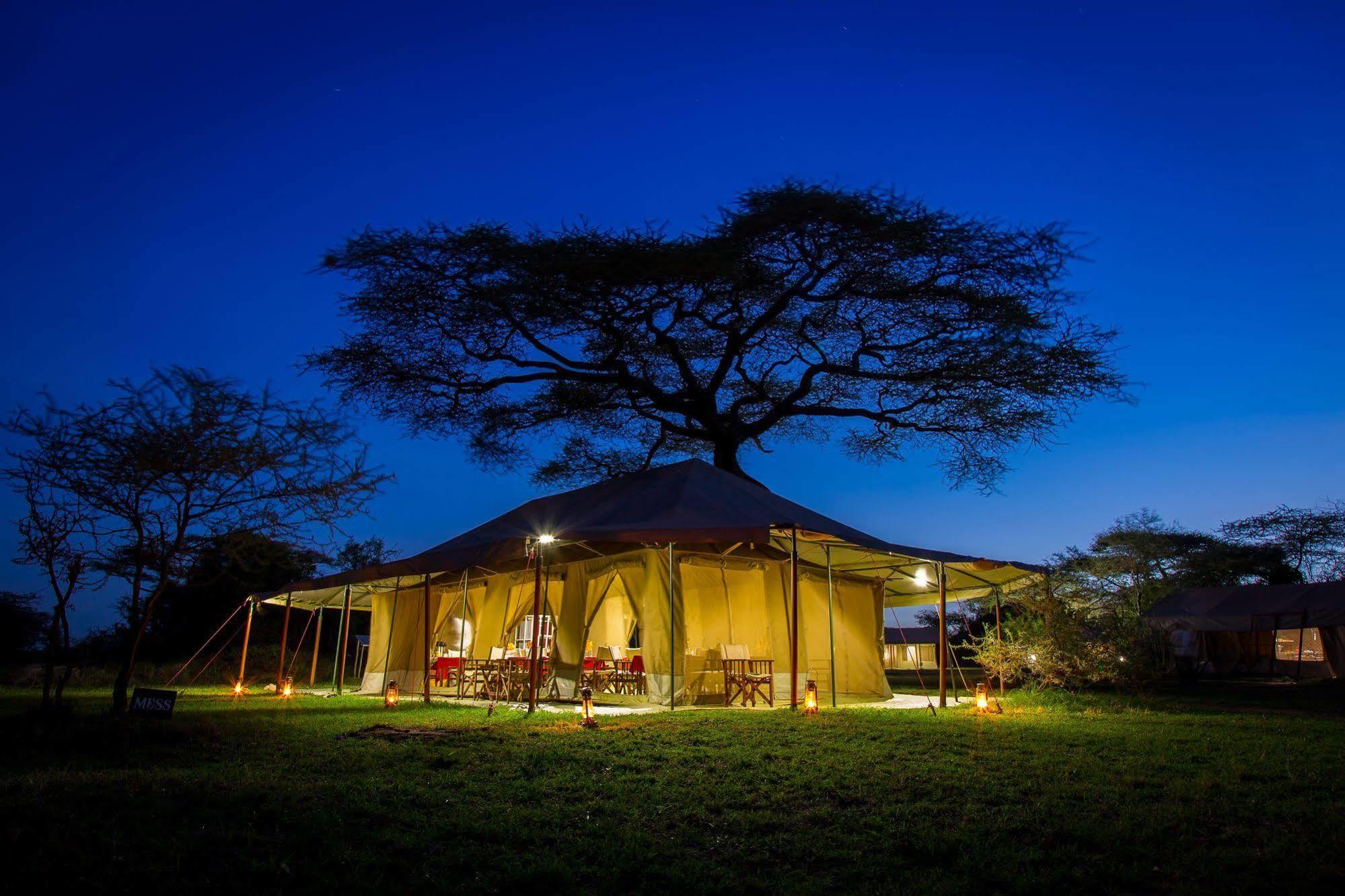 Kisura Serengeti Camp Hotell Soronera Eksteriør bilde