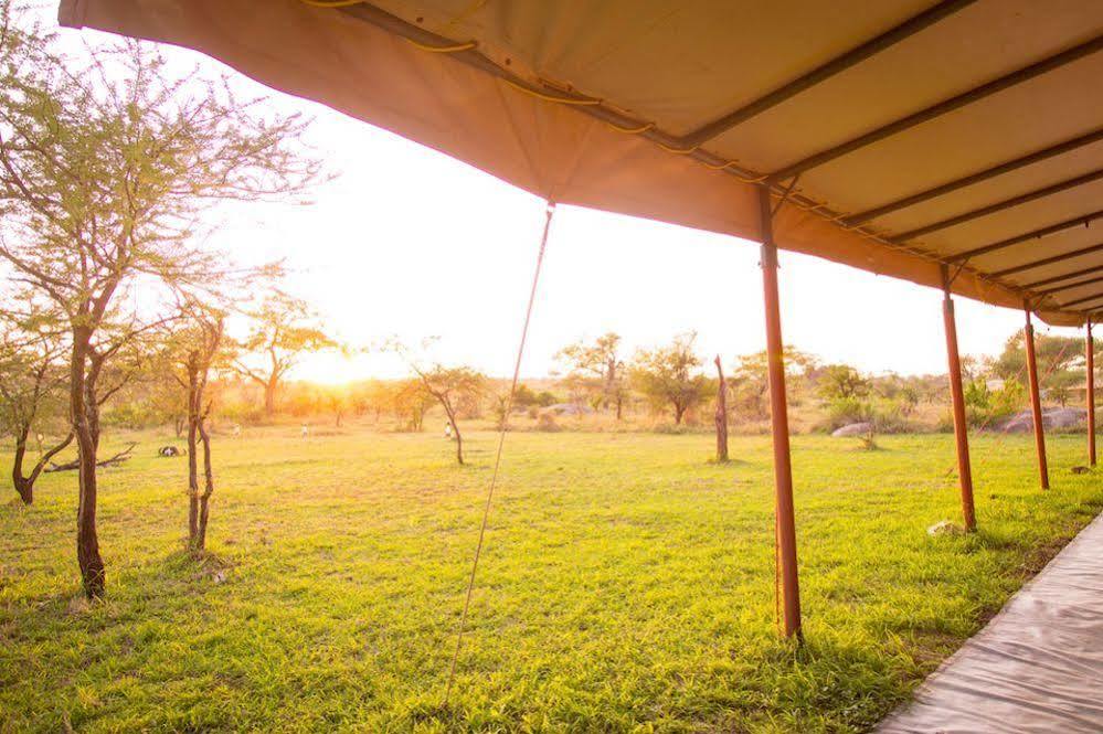 Kisura Serengeti Camp Hotell Soronera Eksteriør bilde