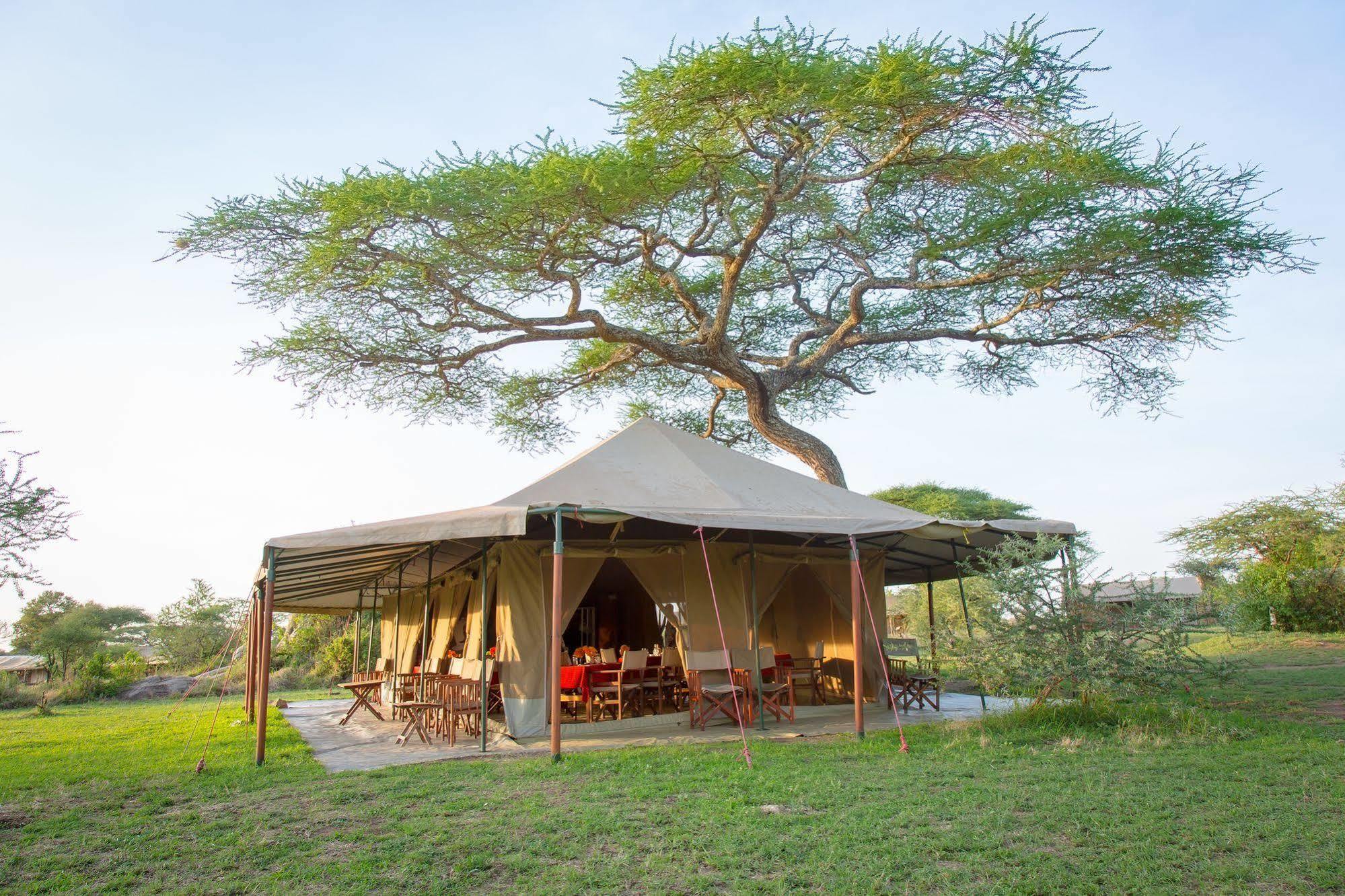 Kisura Serengeti Camp Hotell Soronera Eksteriør bilde