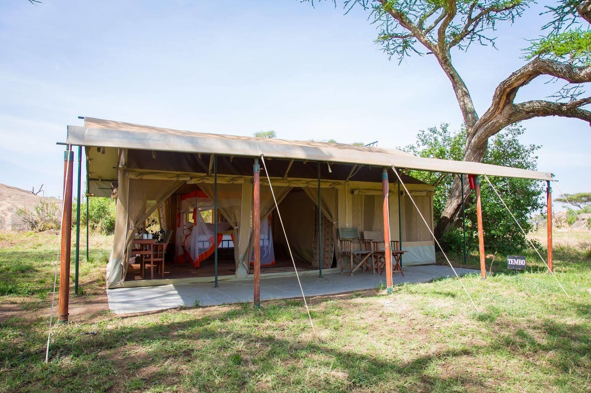 Kisura Serengeti Camp Hotell Soronera Eksteriør bilde