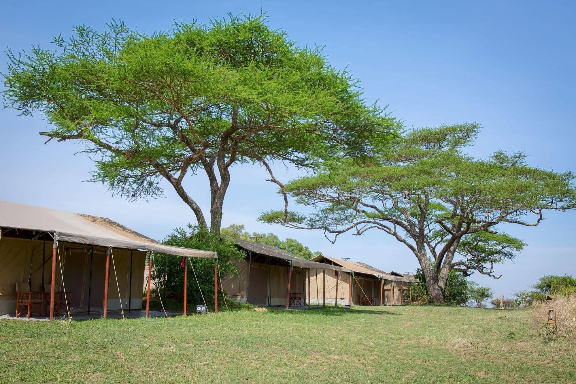 Kisura Serengeti Camp Hotell Soronera Eksteriør bilde